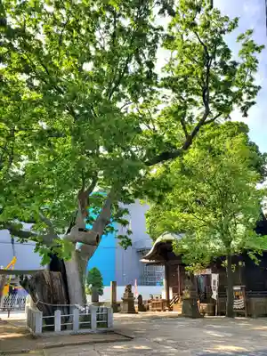 阿邪訶根神社(福島県)