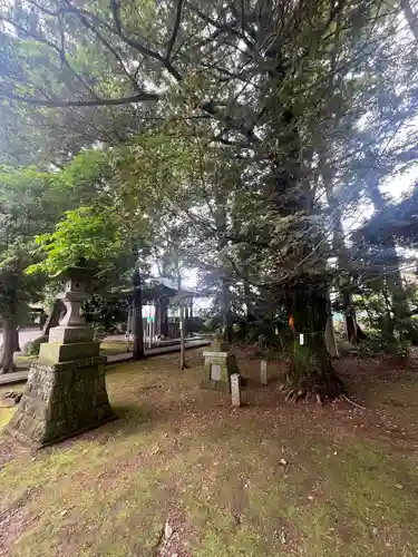 朝日森天満宮(栃木県)