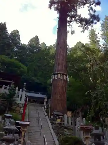 由岐神社のその他建物
