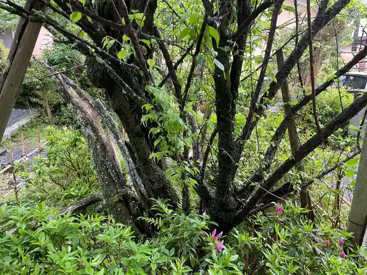東北院(京都府)