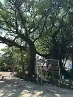 野島神社(宮崎県)