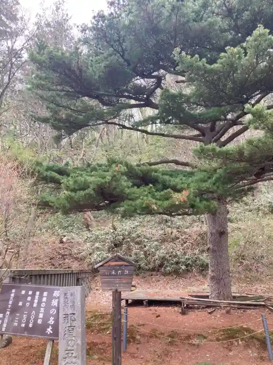 那須温泉神社(栃木県)