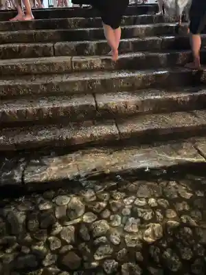 賀茂御祖神社（下鴨神社）のお祭り