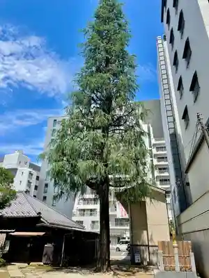 髙福院(東京都)