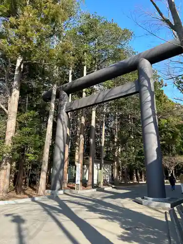 北海道神宮の鳥居