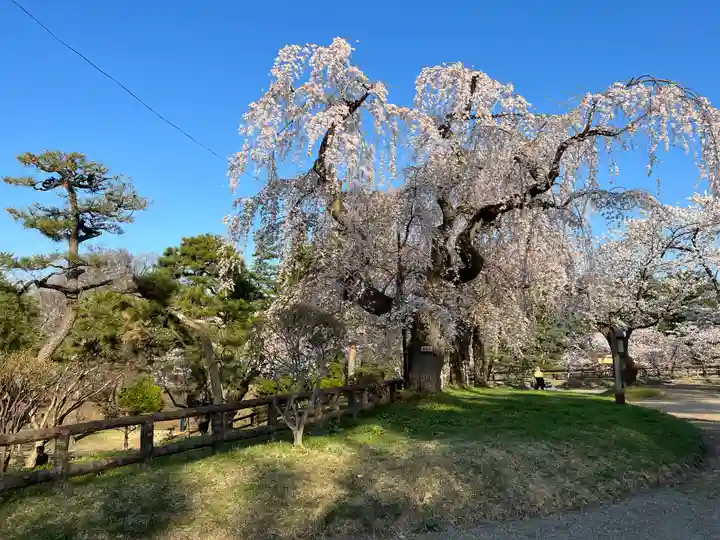 青森縣護國神社の自然