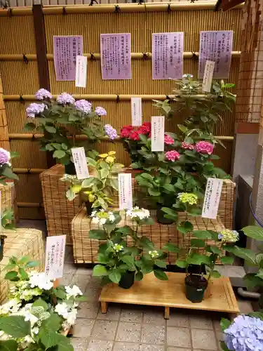 十番稲荷神社のその他建物