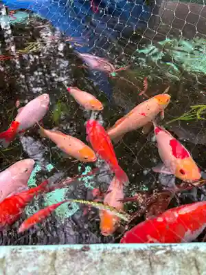 神明社(宮城県)