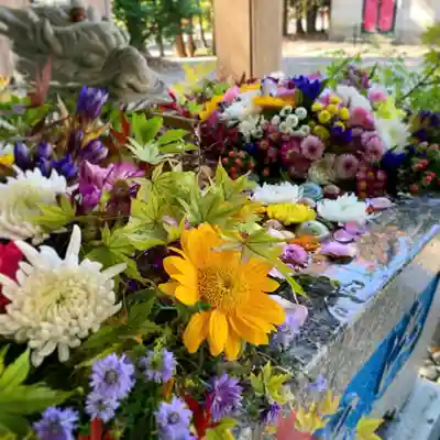 滑川神社 - 仕事と子どもの守り神の手水舎