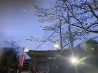 大船観音寺(神奈川県)