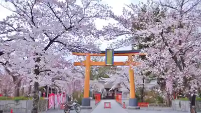 平野神社の鳥居