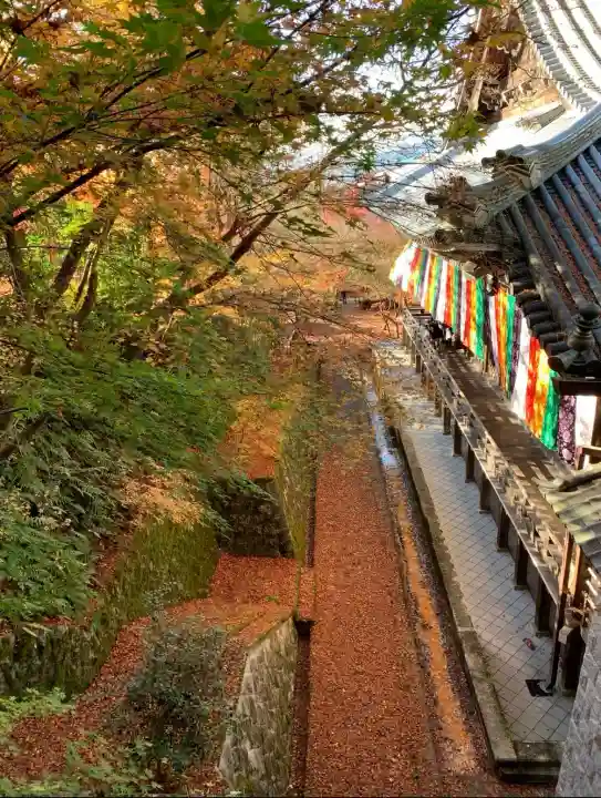 禅林寺(永観堂)の{uncategorized: "未分類", other: "その他", undefined: "問題あり", building: "その他建物", grave: "お墓", sacred_gate: "鳥居", guardian: "狛犬", statue: "像", buddha: "仏像", history: "歴史", nature: "自然", garden: "庭園", animal: "動物", pagoda: "塔", temizu: "手水舎", mountain_gate: "山門・神門", sanctuary: "本殿・本堂", subordinate: "末社・摂社", art: "芸術", scenery: "景色", jizo: "地蔵", ema: "絵馬", goshuin: "御朱印", omikuji: "おみくじ", items: "授与品その他", amulet: "お守り", goshuincho: "御朱印帳", eats: "食事", festival: "お祭り", votive_dance: "神楽", shichigosan: "七五三参", wedding: "結婚式", experience: "体験その他", initially: "初詣", around: "周辺", anti_infection: "感染症対策"}