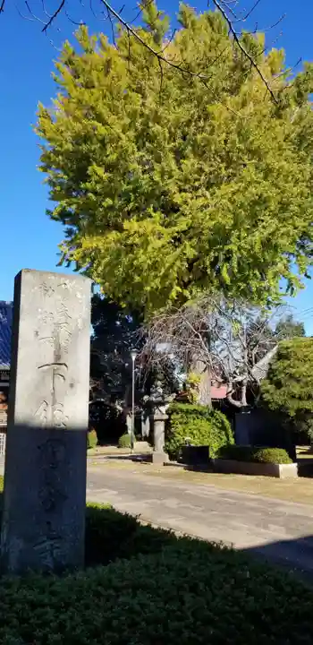 國分寺のその他建物