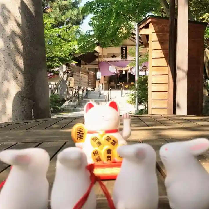 彌彦神社 (伊夜日子神社)のおみくじ