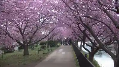 かっぱの寺 栖足寺の周辺