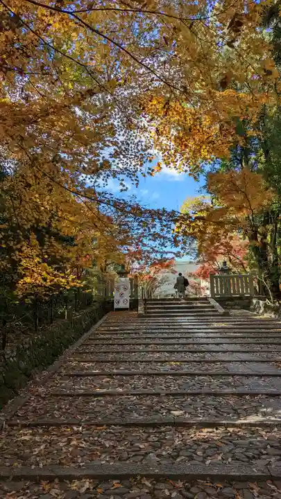 光明寺(粟生光明寺)(京都府)