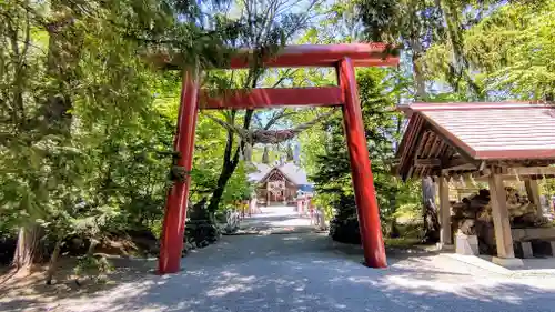 比布神社の鳥居