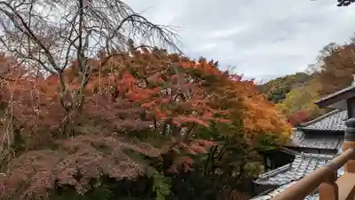 松ヶ崎大黒天 妙圓寺（妙円寺）(京都府)