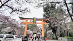 平野神社の鳥居