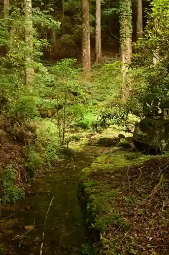 悲願寺(徳島県)