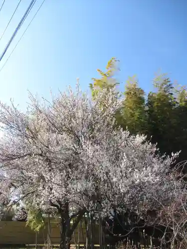 真光寺(千葉県)
