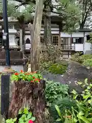 長泉寺の庭園