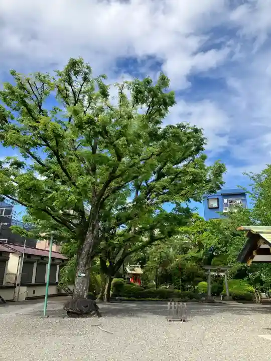 天祖諏訪神社の{uncategorized: "未分類", other: "その他", undefined: "問題あり", building: "その他建物", grave: "お墓", sacred_gate: "鳥居", guardian: "狛犬", statue: "像", buddha: "仏像", history: "歴史", nature: "自然", garden: "庭園", animal: "動物", pagoda: "塔", temizu: "手水舎", mountain_gate: "山門・神門", sanctuary: "本殿・本堂", subordinate: "末社・摂社", art: "芸術", scenery: "景色", jizo: "地蔵", ema: "絵馬", goshuin: "御朱印", omikuji: "おみくじ", items: "授与品その他", amulet: "お守り", goshuincho: "御朱印帳", eats: "食事", festival: "お祭り", votive_dance: "神楽", shichigosan: "七五三参", wedding: "結婚式", experience: "体験その他", initially: "初詣", around: "周辺", anti_infection: "感染症対策"}