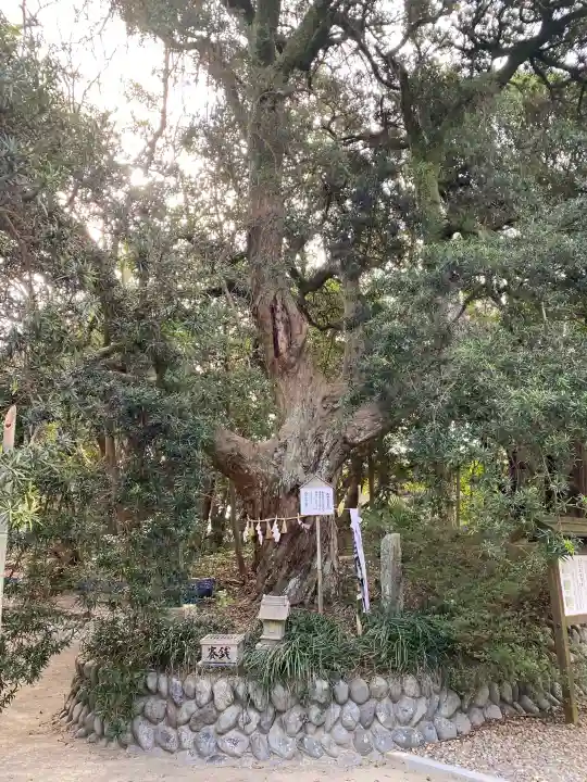 白羽神社の{uncategorized: "未分類", other: "その他", undefined: "問題あり", building: "その他建物", grave: "お墓", sacred_gate: "鳥居", guardian: "狛犬", statue: "像", buddha: "仏像", history: "歴史", nature: "自然", garden: "庭園", animal: "動物", pagoda: "塔", temizu: "手水舎", mountain_gate: "山門・神門", sanctuary: "本殿・本堂", subordinate: "末社・摂社", art: "芸術", scenery: "景色", jizo: "地蔵", ema: "絵馬", goshuin: "御朱印", omikuji: "おみくじ", items: "授与品その他", amulet: "お守り", goshuincho: "御朱印帳", eats: "食事", festival: "お祭り", votive_dance: "神楽", shichigosan: "七五三参", wedding: "結婚式", experience: "体験その他", initially: "初詣", around: "周辺", anti_infection: "感染症対策"}