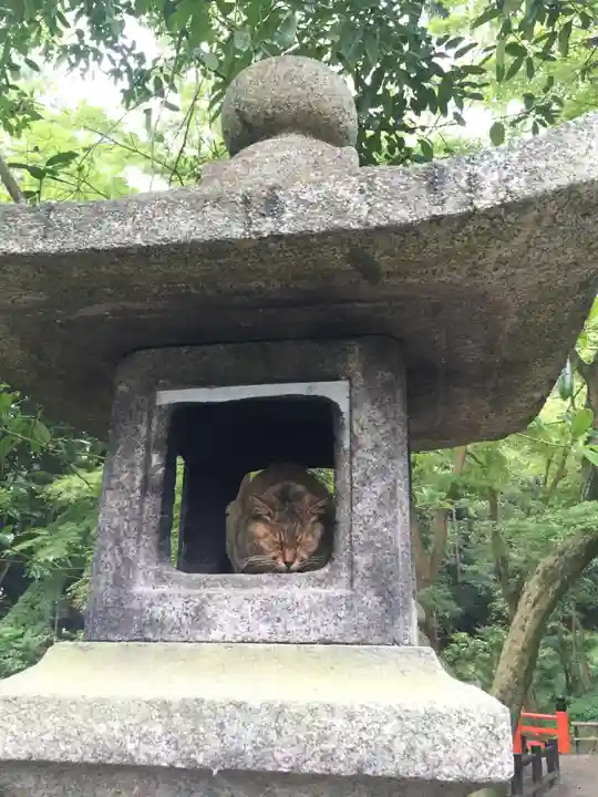 伏見稲荷大社の動物