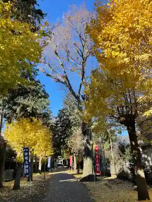神明大神宮(神奈川県)