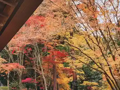 大国寺(兵庫県)