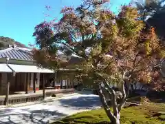 長壽寺（長寿寺）(神奈川県)