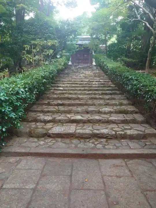 龍安寺(京都府)