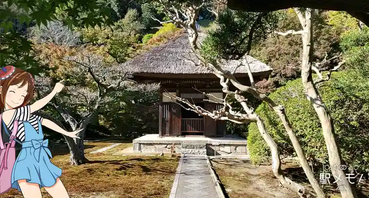 長壽寺(長寿寺)の本殿・本堂
