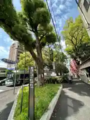 若一神社の自然