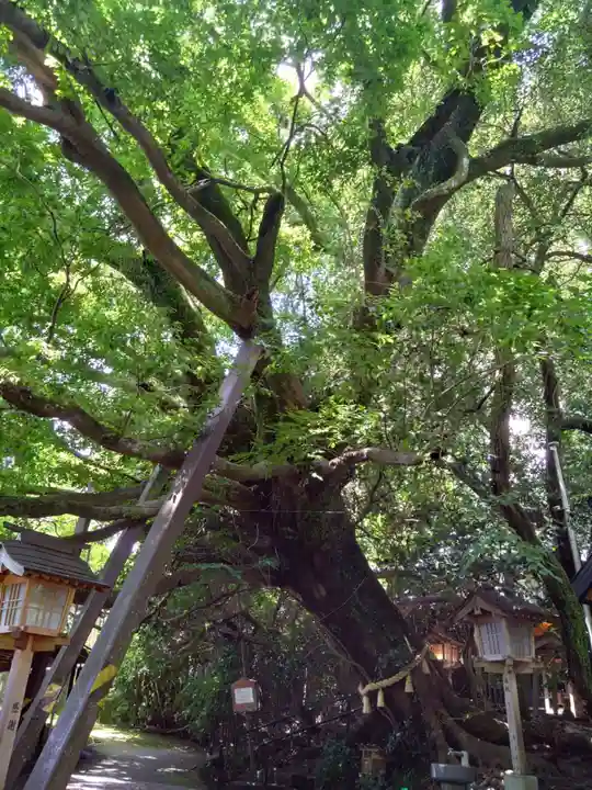 八大龍王水神(宮崎県)