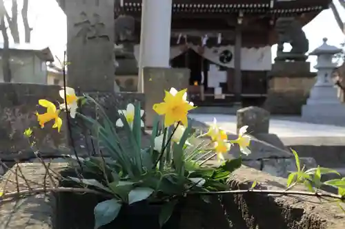 熊野福藏神社の手水舎