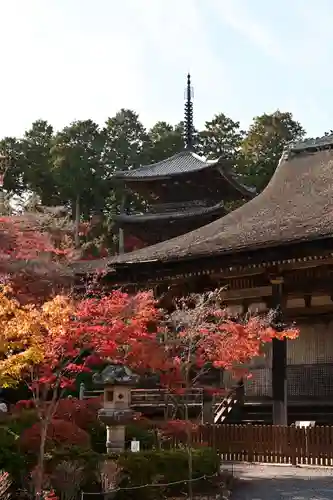 常樂寺(滋賀県)