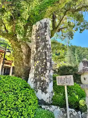 熊野那智大社(和歌山県)