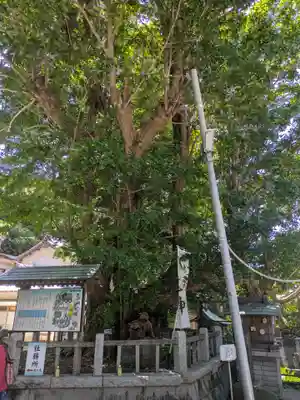 海南神社(神奈川県)