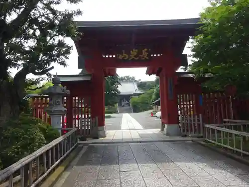 妙蓮寺の山門