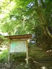 名草厳島神社の自然