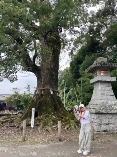 薦神社(大分県)