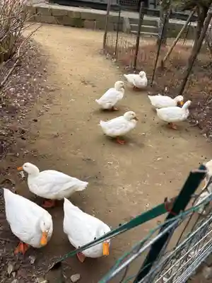 楽法寺（雨引観音）(茨城県)
