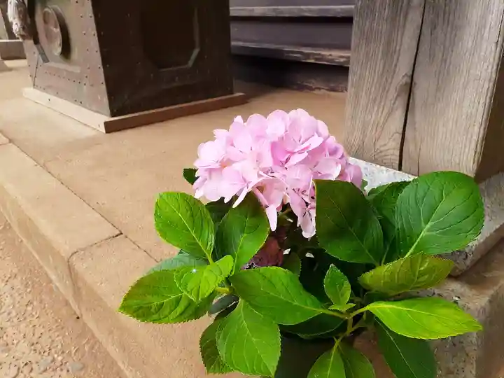 伏木香取神社の自然