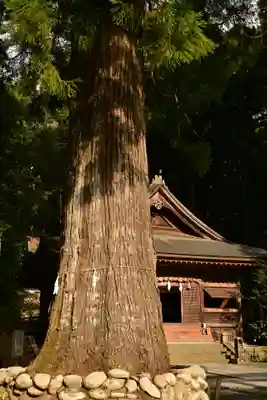 久万山総鎮守　三島神社(愛媛県)