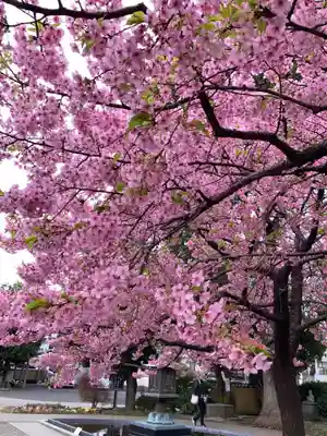宗仲寺(神奈川県)