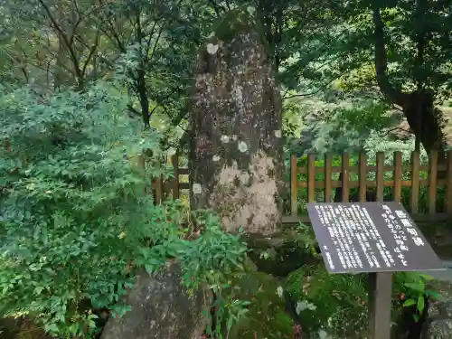天岩戸神社(宮崎県)