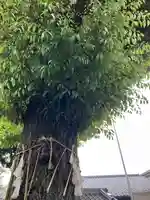蛇窪神社(東京都)