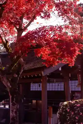 賀茂別雷神社（上賀茂神社）(京都府)